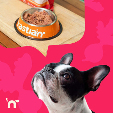 Beneficios de la dieta B.A.R.F. para perros