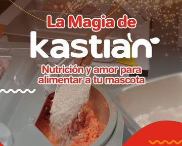 Descubre Cómo Creamos el Alimento Perfecto para el Bienestar de Tu Mascota en Kástian