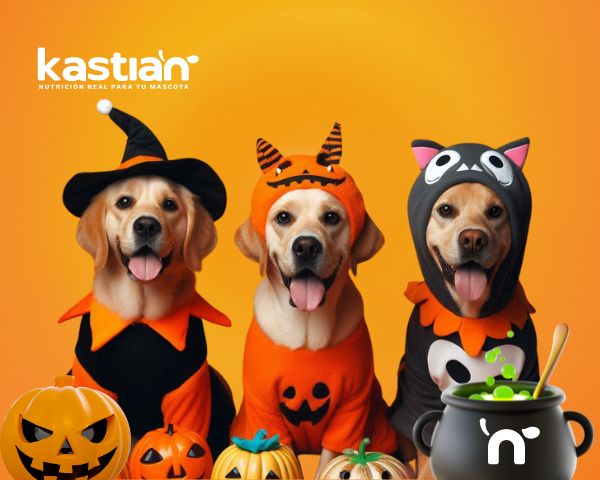 Evento Especial de Halloween para Perros