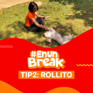 Consiente y entrena a tu perro en un break con Kastian. Tip#2: El Rollito
