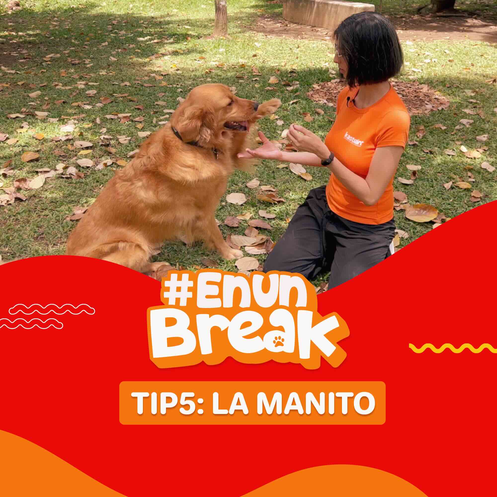 Consiente y entrena a tu perro en un break con Kastian. Tip#5: La Manito